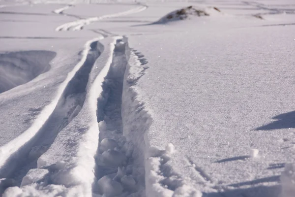 Πεζοπορία Περιοδεύσει Σκι Πίστες Στο Χιόνι Αναρρίχηση Στην Κορυφή Του — Φωτογραφία Αρχείου
