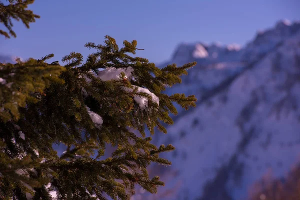 Nascer Sol Inverno Com Neve Fresca Nas Montanhas Dos Alpes — Fotografia de Stock