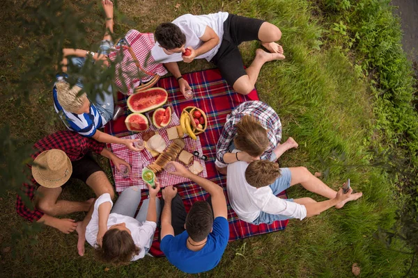 Fiatal Baráti Piknik Idő Italok Ételek Gyönyörű Természeti Környezetben Nyári — Stock Fotó