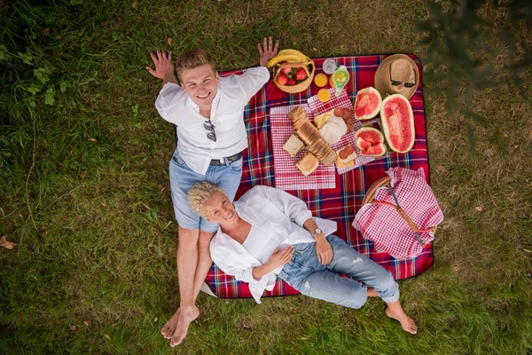 Pár Piknik Szabadidő Ülve Kockás Szerelem — Stock Fotó