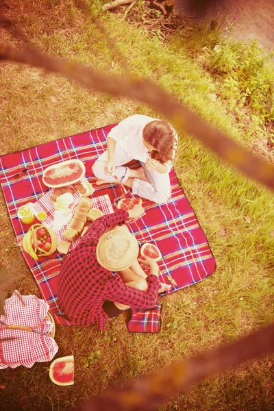 Pár Lásce Piknik Čas Jídlo Krásné Přírodě — Stock fotografie