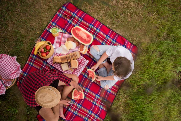 Pár Lásce Piknik Čas Jídlo Krásné Přírodě — Stock fotografie