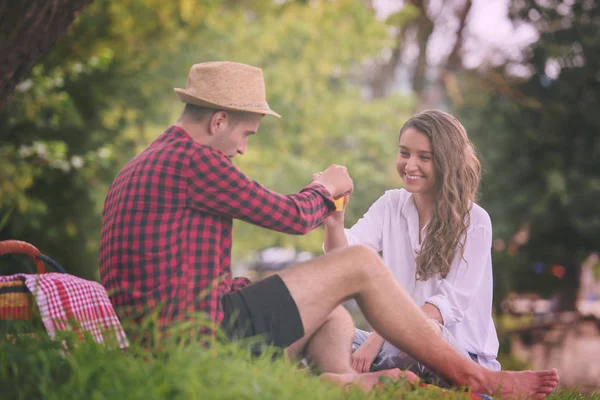 Paar Verliefd Genieten Van Picknick Tijd Prachtige Natuur — Stockfoto