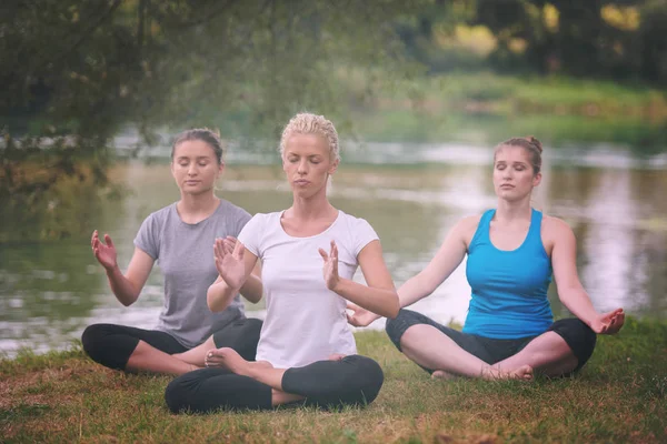 リラックスした瞑想とヨガを行使する川の銀行の美しい自然の中 若い健康な女性のグループ — ストック写真