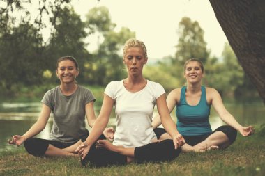 Grup Genç sağlıklı kadını Nehri kıyısında güzel doğada meditasyon ve yoga yaparken egzersiz yaparken rahatlatıcı