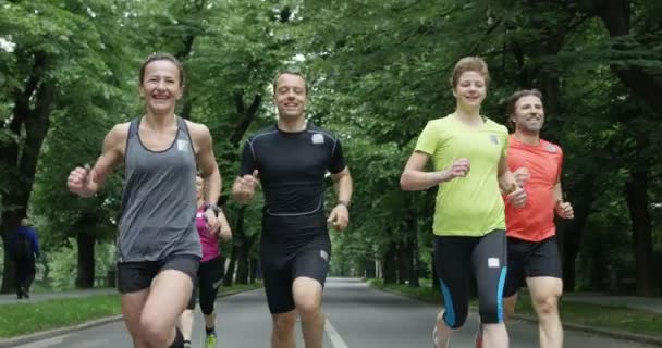 後ろから見たランナーのグループは 都市公園で一緒にジョギング — ストック動画