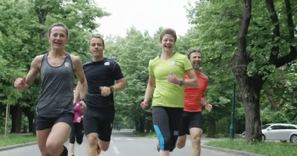 Läufergruppe Von Hinten Beim Gemeinsamen Joggen Stadtpark — Stockvideo