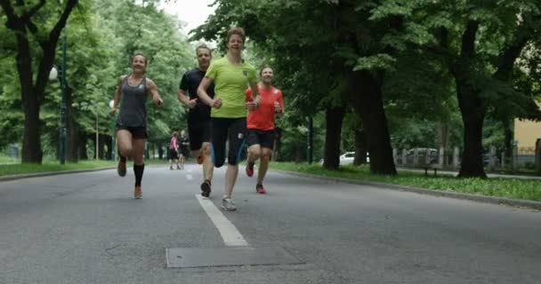 뒤에서 달리기 선수들이 공원에서 조깅하는 — 비디오