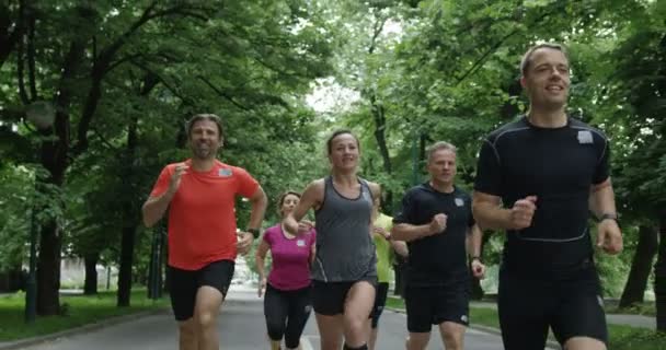 Grupp Löpare Sett Bakifrån Jogga Tillsammans Stadsparken — Stockvideo