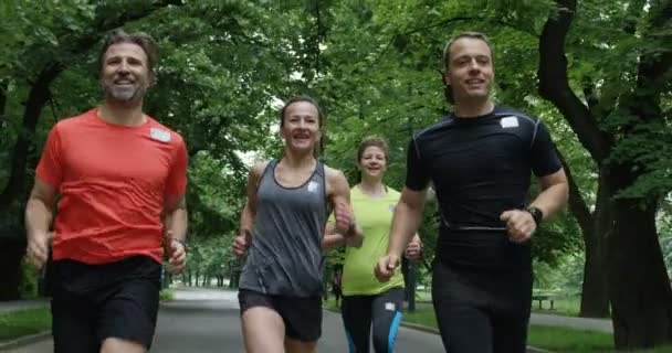 Läufergruppe Von Hinten Beim Gemeinsamen Joggen Stadtpark — Stockvideo