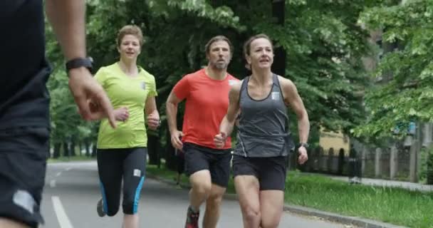 Grupo Corredores Vistos Por Detrás Corriendo Juntos Parque Ciudad — Vídeos de Stock