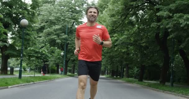 Grupo Corredores Vistos Por Detrás Corriendo Juntos Parque Ciudad — Vídeo de stock