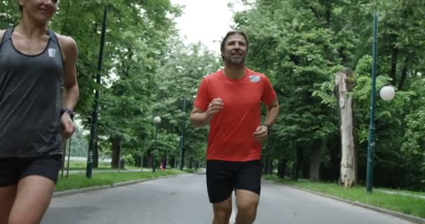 一组跑步者从后面看到 一起在城市公园慢跑 — 图库视频影像