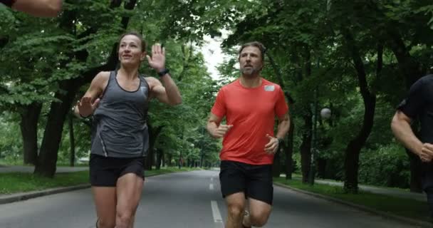 Skupina Běžců Viděných Zezadu Jak Spolu Běhají Městském Parku — Stock video
