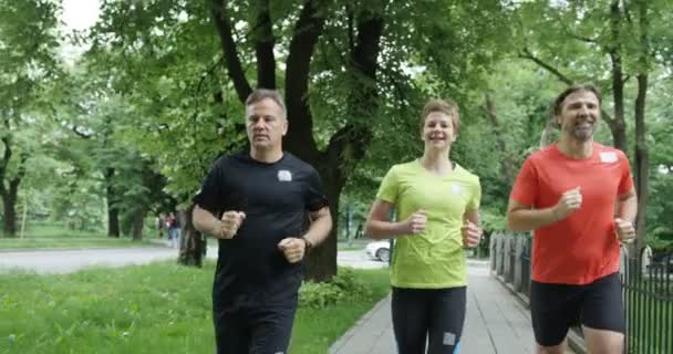 Läufergruppe Von Hinten Beim Gemeinsamen Joggen Stadtpark — Stockvideo