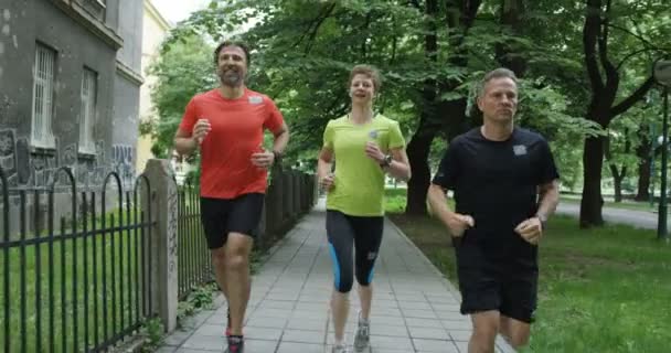 Grupp Löpare Sett Bakifrån Jogga Tillsammans Stadsparken — Stockvideo