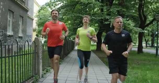 Gruppo Corridori Visti Dietro Che Fanno Jogging Insieme Nel Parco — Video Stock