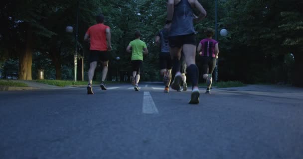 Grupa Biegaczy Widziana Tyłu Biegających Razem Parku Miejskim — Wideo stockowe