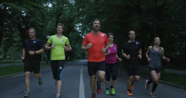 Grupo Corredores Vistos Por Trás Correr Juntos Parque Cidade — Vídeo de Stock