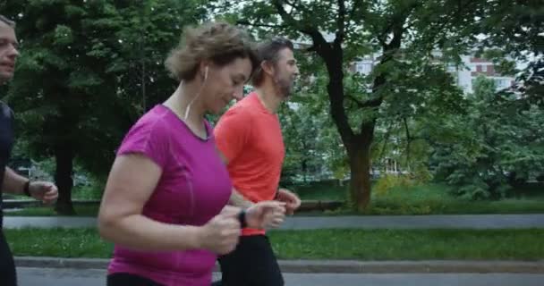 Ομάδα Δρομέων Που Εθεάθησαν Από Πίσω Τρέχουν Μαζί Στο Πάρκο — Αρχείο Βίντεο