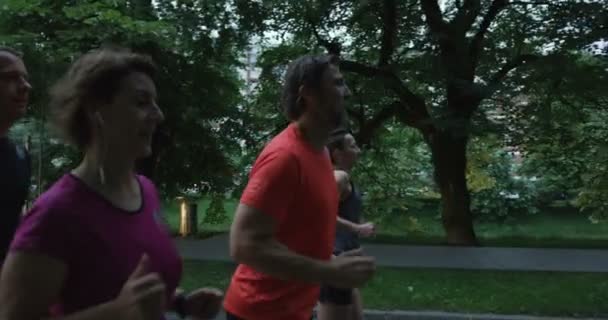 Grup Alergători Văzuți Din Spate Alergând Împreună Parcul Orașului — Videoclip de stoc