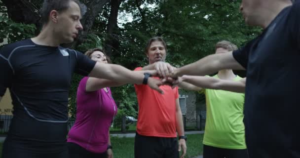Groupe Coureurs Vus Derrière Jogging Ensemble Dans Parc Ville — Video