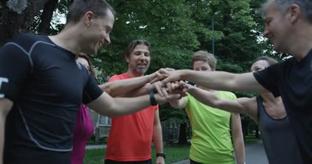 Läufergruppe Von Hinten Beim Gemeinsamen Joggen Stadtpark — Stockvideo