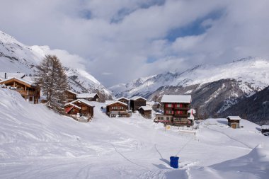 Bir grup koşucu şehir parkında birlikte koşarken arkadan görülmüş.