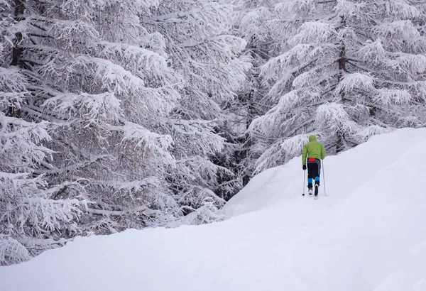 Junger Mann Genießt Skilanglauf Einem Schönen Wintertag — Stockfoto