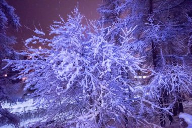 soğuk kış gece köyde karlı sokak