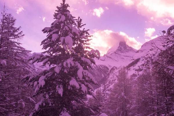 Hora Matterhorn Zermatt Pokrytá Čerstvým Sněhem Krásný Zimní Den — Stock fotografie