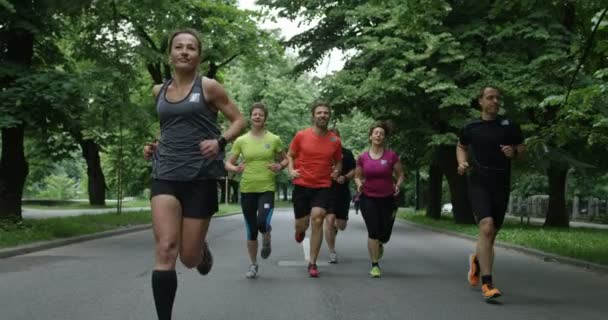 Bir Grup Koşucu Şehir Parkında Birlikte Koşarken Arkadan Görülmüş — Stok video