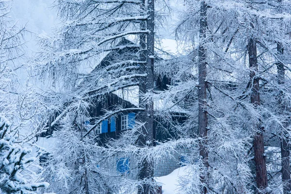 Winterlandschap Met Dorpshuis Verborgen Achter Bomen Bedekt Met Sneeuw — Stockfoto