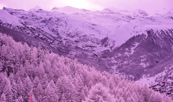 Munte Matterhorn Zermatt Acoperit Zăpadă Proaspătă Ziua Frumoasă Iarnă — Fotografie, imagine de stoc