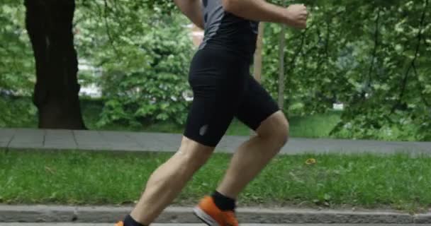 Grupo Corredores Vistos Por Detrás Corriendo Juntos Parque Ciudad — Vídeo de stock