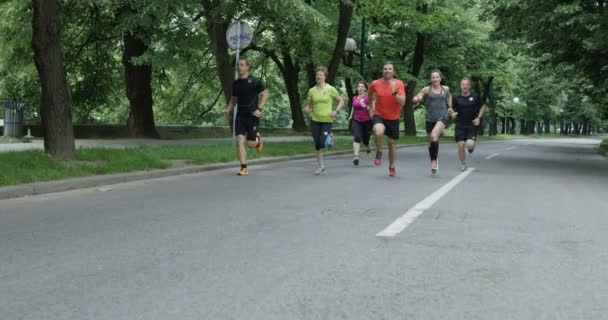 Grupa Biegaczy Widziana Tyłu Biegających Razem Parku Miejskim — Wideo stockowe