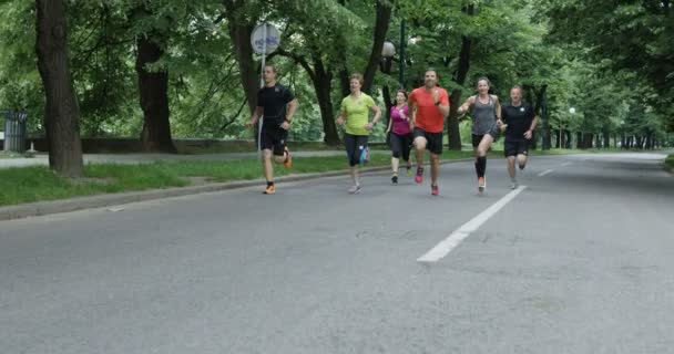 Gruppo Corridori Visti Dietro Che Fanno Jogging Insieme Nel Parco — Video Stock