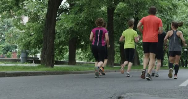 Grupo Corredores Vistos Por Detrás Corriendo Juntos Parque Ciudad — Vídeo de stock