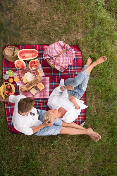 Pár Lásce Těší Piknik Čas Zatímco Sedí Přehoz — Stock fotografie