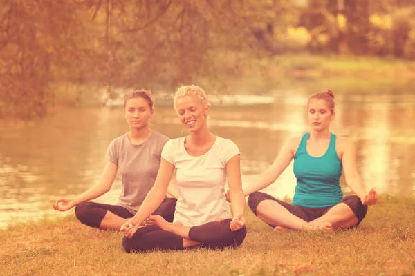 Groep Jonge Gezonde Vrouwen Ontspannen Terwijl Mediteren Yoga Doen Prachtige — Stockfoto