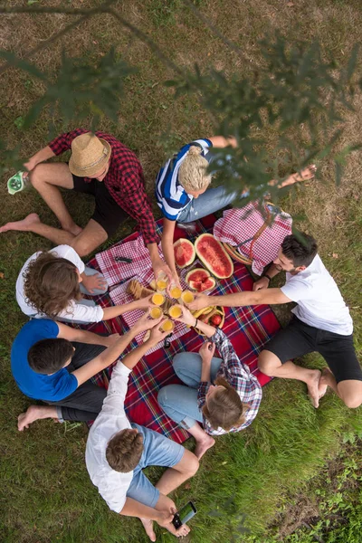 在阳光明媚的大自然中享受野餐时间 饮料和食物的年轻朋友群的最佳视角 — 图库照片