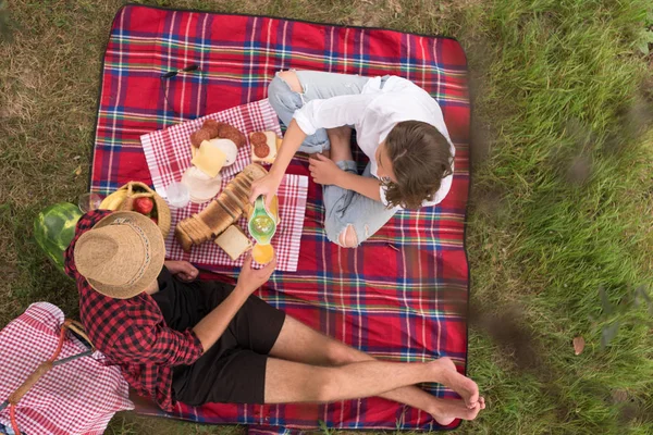 Pár Élvezi Piknik Idő Gyönyörű Természet Élelmiszer Szerelmes — Stock Fotó