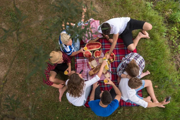 Top View Group Young Friends Enjoying Picnic Time Drinks Food — Stock Photo, Image