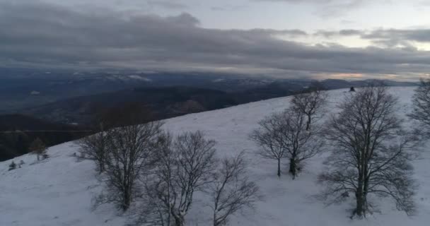 Flygfoto Över Färska Snöklädda Vintern Skog Höga Berg Solnedgång — Stockvideo