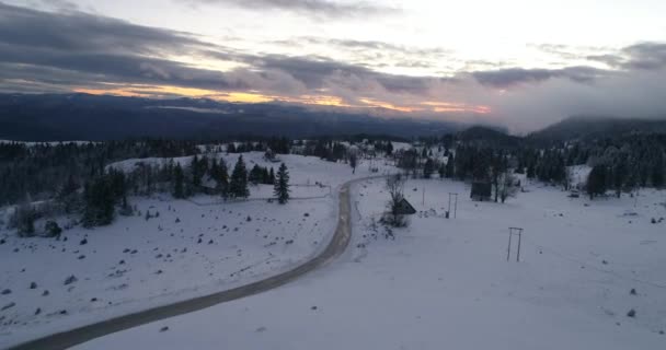 Vista Aérea Del Bosque Invierno Cubierto Nieve Fresca Las Altas — Vídeos de Stock