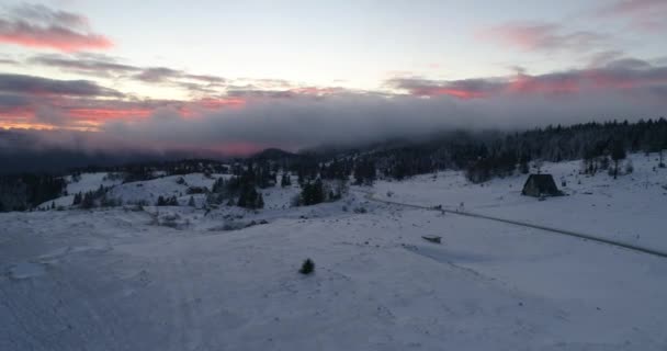 Vista Aérea Del Bosque Invierno Cubierto Nieve Fresca Las Altas — Vídeos de Stock