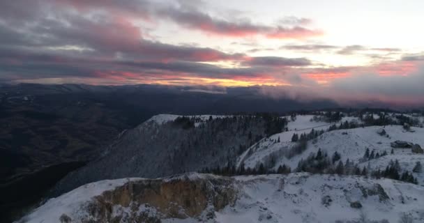 Vista Aérea Del Bosque Invierno Cubierto Nieve Fresca Las Altas — Vídeo de stock