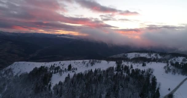 Widok Lotu Ptaka Świeże Pokryte Śniegiem Zima Las Wysokich Górach — Wideo stockowe