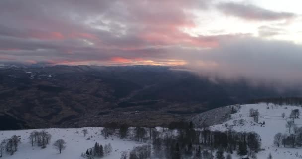 Luchtfoto Van Verse Sneeuw Bedekte Winter Bos Hoge Bergen Zonsondergang — Stockvideo