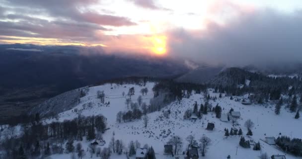 Vista Aérea Del Bosque Invierno Cubierto Nieve Fresca Las Altas — Vídeos de Stock